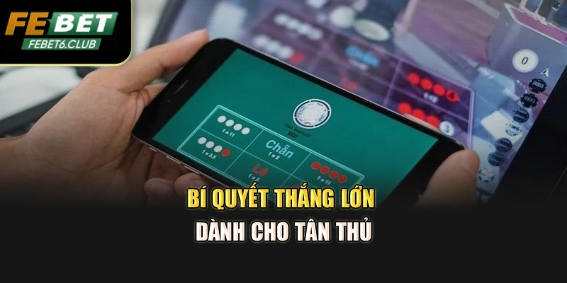 Bí quyết thắng lớn dành cho tân thủ