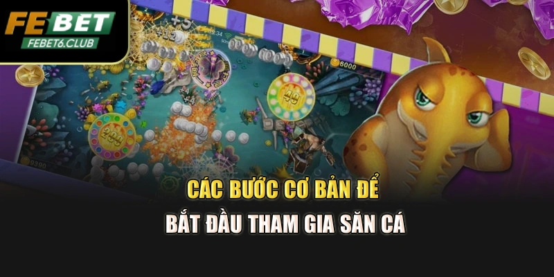 Các bước cơ bản để bắt đầu tham gia săn cá