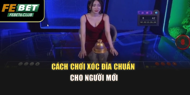 Cách chơi xóc đĩa chuẩn cho người mới