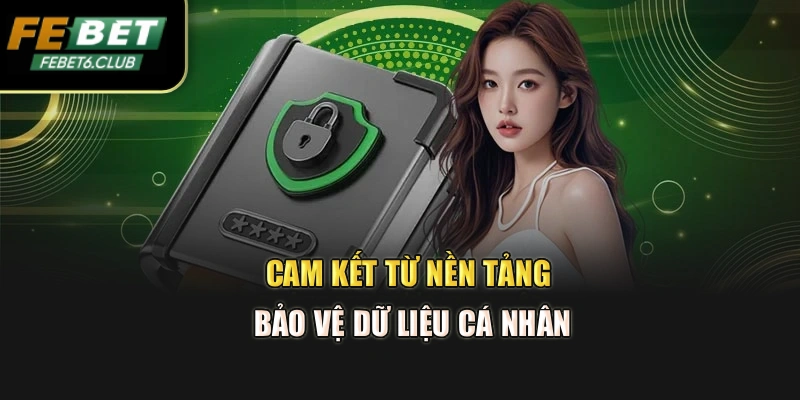 Cam kết từ nền tảng bảo vệ dữ liệu cá nhân