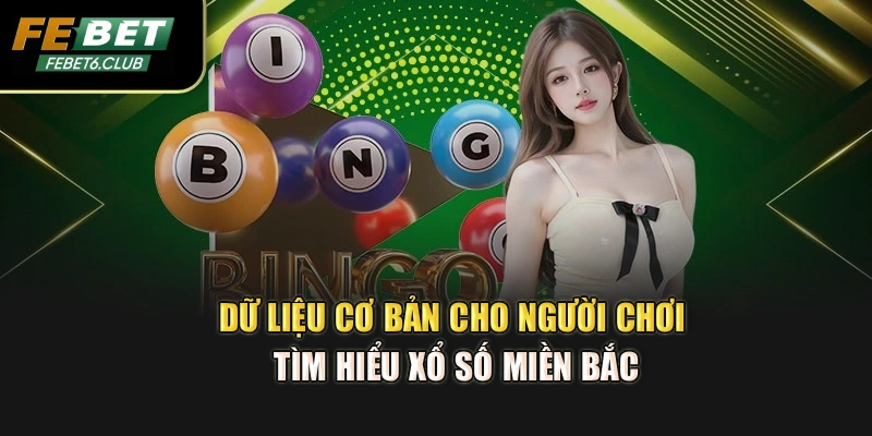 Dữ liệu cơ bản cho người chơi tìm hiểu Xổ Số Miền Bắc