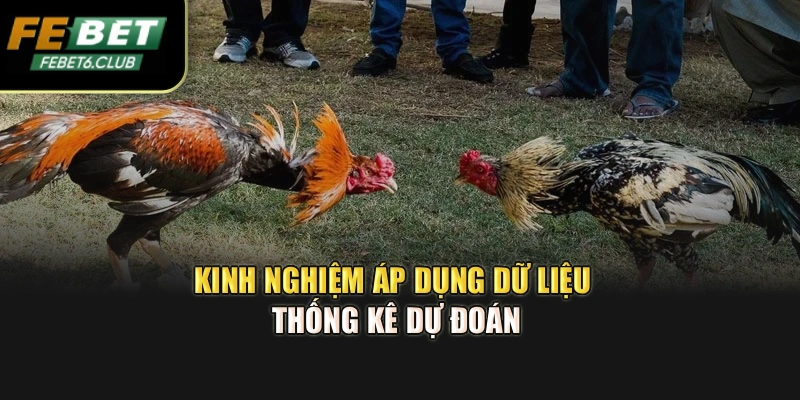Kinh nghiệm áp dụng dữ liệu thống kê dự đoán