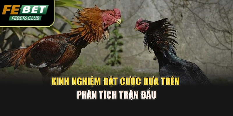 Kinh nghiệm đặt cược dựa trên phân tích trận đấu