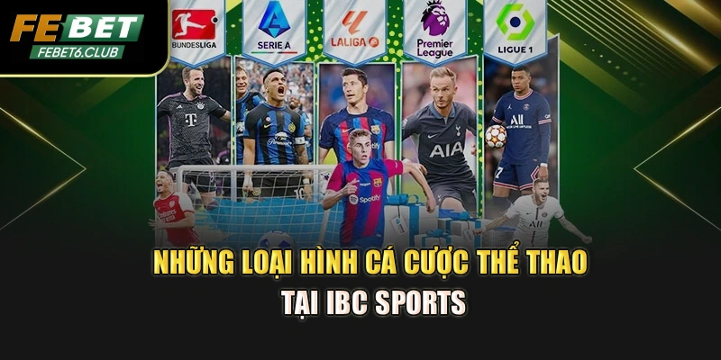 Những loại hình cá cược thể thao tại IBC sports
