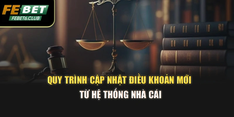 Quy trình cập nhật điều khoản mới từ hệ thống nhà cái