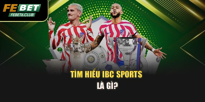 Tìm hiểu IBC sports là gì?