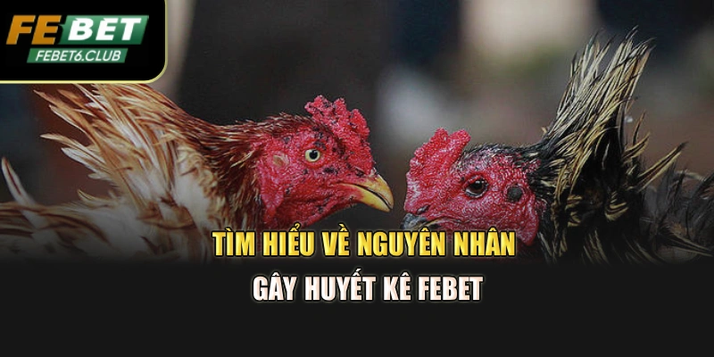Tìm hiểu về nguyên nhân gây huyết kê FEBET