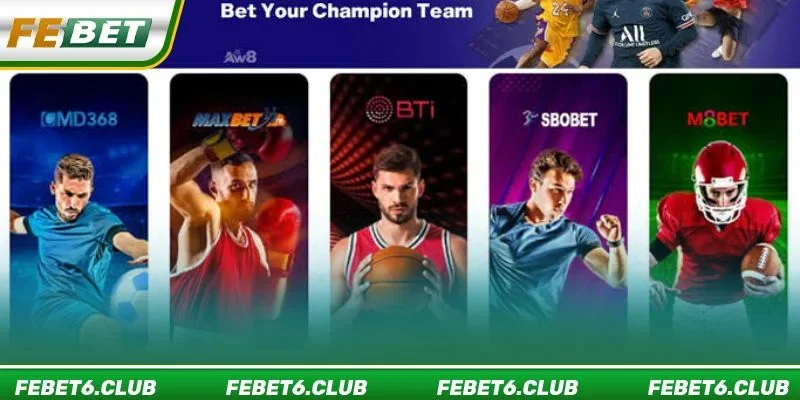 Thể thao BTI Sports cho phép theo dõi và cá cược vào các trận đấu trực tiếp tại FEBET